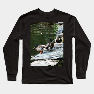 Birds - Ducks By a Pond Long Sleeve T-Shirt